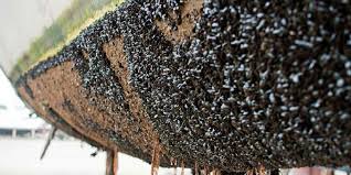 Điểm cần lưu ý trong sơn chống hà